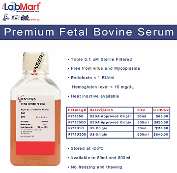 fetal bovine serum